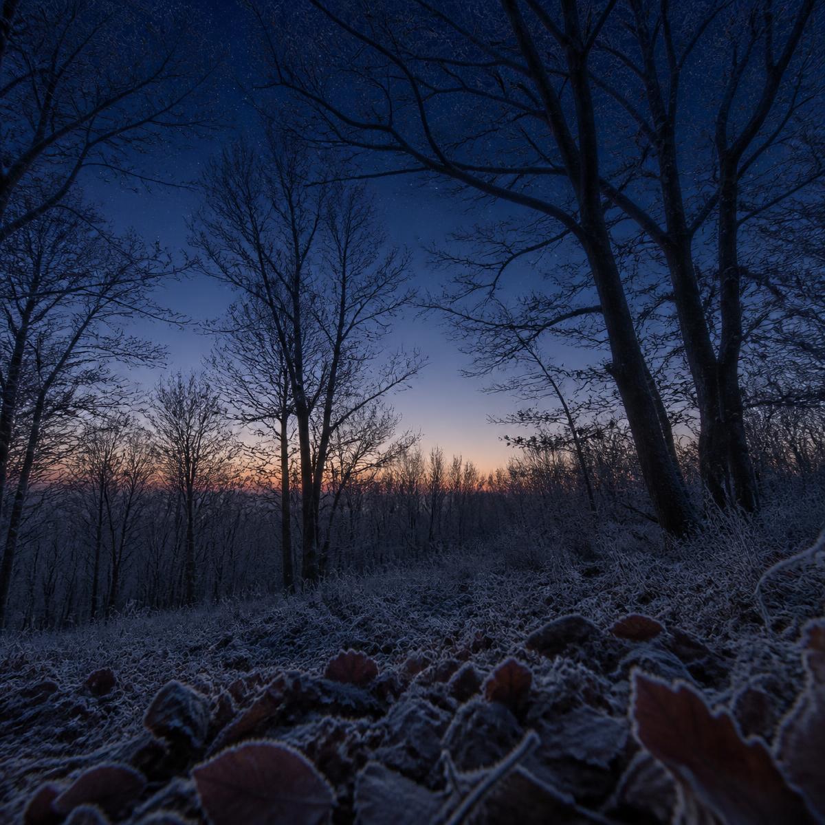 The Long Dark - A kit for cold dusks, small fires and the night sky.